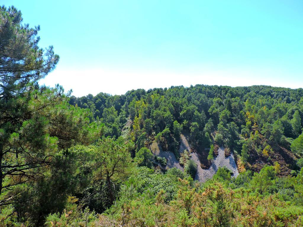 Gite Dans Les Alpes Mancelles Gesnes-le-Gandelin Exteriér fotografie